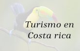 Turismo en Costa rica. Introducción I- Un país que reune los elementos necesarios al turismo y especialmente al turismo ecológico A- La estabilidad política.