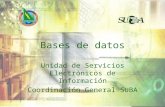 Bases de datos Unidad de Servicios Electrónicos de Información Coordinación General SUBA.