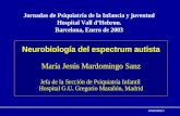 2002MJM33 / Neurobiología del espectrum autista María Jesús Mardomingo Sanz Jefa de la Sección de Psiquiatría Infantil Hospital G.U. Gregorio Marañón,