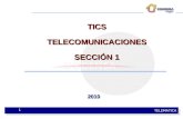 TELEMATICA 1 TICSTELECOMUNICACIONES SECCIÓN 1 2010.