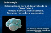 Orientaciones para el desarrollo de la Clase Taller I Primera Semana del Desarrollo, Gametos normales y anormales. Embriología I Dr. Santiago Almeida Campos.