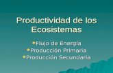 Productividad de los Ecosistemas  Flujo de Energía  Producción Primaria  Producción Secundaria.