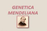 GENETICA Rama de la biología que estudia la herencia y la variabilidad en los seres vivos. Nace con los experimentos de Gregor Mendel, entre los años.