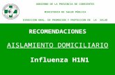RECOMENDACIONES AISLAMIENTO DOMICILIARIO Influenza H1N1 GOBIERNO DE LA PROVINCIA DE CORRIENTES MINISTERIO DE SALUD PÚBLICA DIRECCION GRAL. DE PROMOCION.