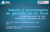 Informe Nacional de Perú Fortaleza, diciembre de 2013 Dora Soto (Perú. Autoridad Nacional del Agua) Laureano del Castillo (Centro Peruano de Estudios Sociales)