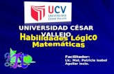 UNIVERSIDAD CÉSAR VALLEJO Facilitador: Lic. Mat. Patricia Isabel Aguilar Incio.
