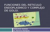 FUNCIONES DEL RETICULO ENDOPLASMICO Y COMPLEJO DE GOLGI. FISIOLOGIA HUMANA Dr. Herminio Rodríguez.