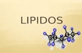 LIPIDOS. Los lípidos son un conjunto de moléculas orgánicas, la mayoría son biomoléculas, compuestas principalmente por carbono e hidrógeno y en menor.