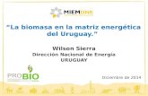 Wilson Sierra Dirección Nacional de Energía URUGUAY Diciembre de 2014 “La biomasa en la matriz energética del Uruguay.”