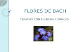 FLORES DE BACH TERAPIAS CON ESENCIAS FLORALES. Reconocidas por la OMS: Desde 1976, la OMS incorpora las esencias florales o “Flores de Bach” entre los.