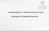 PROGRAMAS Y PRESUPUESTOS 2014 PROGRAMAS Y PRESUPUESTOS 2014 Delegación Estatal Zacatecas.