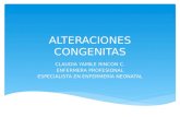 ALTERACIONES CONGENITAS CLAUDIA YAMILE RINCON C. ENFERMERA PROFESIONAL ESPECIALISTA EN ENFERMERÍA NEONATAL.