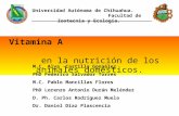 Universidad Autónoma de Chihuahua. Facultad de Zootecnia y Ecología. Vitamina A en la nutrición de los animales domésticos. M.C. Alva Castillo González.