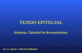 TEJIDO EPITELIAL Subtema: Epitelial de Revestimiento. m.v.z. oscar l. oliveros belmont.