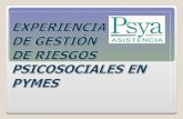 Acerca de Psya Empresa creada en 1997 en Francia, especializada en Prevención y Gestión de Riesgos Psicosociales: malestar relacionado con las obligaciones.