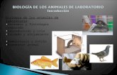 Biología de los animales de laboratorio: Anatomía y fisiología comparada Reproducción y cría Cuidado y alojamiento Homeostasis y estrés Bienestar animal.