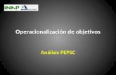 Operacionalización de objetivos Análisis PEPSC ObjetivoObjetivo Consolidar científicamente objetivos, metas e indicadores a través del Dimensionamiento.