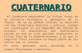 CUATERNARIO El Cuaternario representa la última etapa de la Historia biológica y geológica de la Tierra. No se ha podido estimar su duración con una cronología.