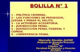 BOLILLA N° 1 1 – POLÍTICA CRIMINAL. 2 – LAS FUNCIONES DE PERSEGUIR, JUZGAR Y PENAR EL DELITO. 3 – LA ACTIVIDAD ACUSATORIA. 4 – JURISDICCIÓN PENAL. 5 –