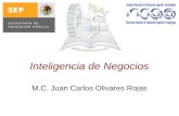 Inteligencia de Negocios M.C. Juan Carlos Olivares Rojas.