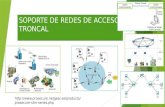SOPORTE DE REDES DE ACCESO TRONCAL  stm-series.php.