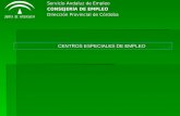 Servicio Andaluz de Empleo CONSEJERÍA DE EMPLEO Dirección Provincial de Córdoba CENTROS ESPECIALES DE EMPLEO CENTROS ESPECIALES DE EMPLEO.