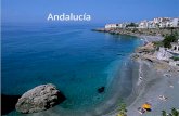 Andalucía. Presentación geográfica Andalucía -Superficie: 87.267 km² - Principales rios: Guadalquivir, Genil, Guadalate -El climat: Méditeranéo subtropical.