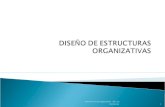 Diseño Estructura Organizativa Msc. Lic Cristina Lia 1.