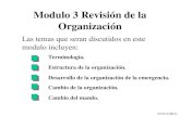 Modulo 3 Revisión de la Organización Las temas que seran discutidos en este modulo incluyen: Terminología. Estructura de la organización. Desarrollo de.