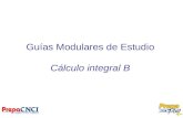 Guías Modulares de Estudio Cálculo integral B. Semana 1: La integral.