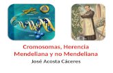 Cromosomas, Herencia Mendeliana y no Mendeliana José Acosta Cáceres.