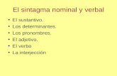 El sintagma nominal y verbal El sustantivo. Los determinantes.determinantes Los pronombres.pronombres. El adjetivo.adjetivo. El verboverbo La interjeccióninterjección.