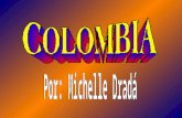 La Bandera de Colombia El Escudo de Colombia La Orquídea es la flor nacional. El Cóndor es el pájaro nacional. La palma de la cera (Wax Palm) es el árbol.