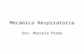 Mecánica Respiratoria Dra. Marcela Prado. Mecánica respiratoria 3 tipos de presiones: –Presión alveolar (PA) –Presión pleural (Ppl) –Presión transmural: