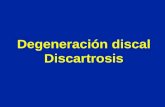 Degeneración discal Discartrosis. Degeneración del disco (pérdida de su contenido de agua) Disco joven Disco de 75 años.
