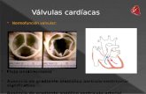 Normofunción valvular: Flujo unidireccional Ausencia de gradiente diastólico aurículo-ventricular significativo Ausencia de gradiente sistólico ventrículo-arterial.