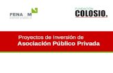 Proyectos de Inversión de Asociación Público Privada.