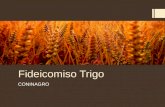 Fideicomiso Trigo CONINAGRO. FIDEICOMISO TRIGO  Certificado de Estimulo para la Producción Agropecuaria CEPAGA  Fideicomiso del Banco Nación.  Consejo.
