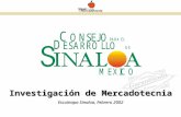 Investigación de Mercadotecnia Escuinapa Sinaloa, Febrero 2002.