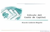 Ricardo Calderón M. Ricardo Calderón Magaña Cálculo del Costo de Capital.