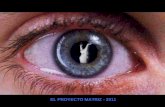 EL PROYECTO MATRIZ - 2011 Música: Resident Evil Theme Autor: Marilyn Manson.