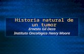 Historia natural de un tumor Ernesto Gil Deza Instituto Oncológico Henry Moore.