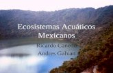 Ecosistemas Acuáticos Mexicanos Ricardo Canedo Andres Galvan.