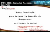 IAPG 2008_Jornadas Tecnicas de Calafate Nueva Tecnología para Mejorar la Remoción de Mercaptanos en Plantas de Aminas en Plantas de Aminas Autores: Steve.