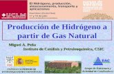 Producción de Hidrógeno a partir de Gas Natural Miguel A. Peña Instituto de Catálisis y Petroleoquímica, CSIC Instituto de Catálisis y Petroleoquímica,