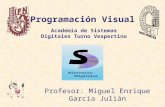 Programación Visual Profesor: Miguel Enrique García Julián Academia de Sistemas Digitales Turno Vespertino.