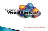 Por: Ing. Wellingthon Montilla Pujols. Introducción a Visual Basic Parte I 1-El trabajo con Visual Basic 2-Análisis de los programas de Visual Basic 3-Controles.