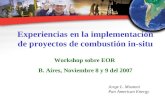 Experiencias en la implementación de proyectos de combustión in-situ Workshop sobre EOR B. Aires, Noviembre 8 y 9 del 2007 Jorge L. Mustoni Pan American.