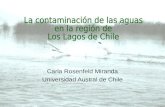 Carla Rosenfeld Miranda Universidad Austral de Chile.
