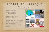 Instituto Bilingüe Cucapah Clave de la institución: 02PPR0429A Mexicali, Baja California Promover el cuidado del medio ambiente en especial la contaminación.
